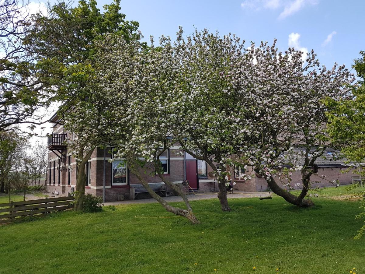 Hunsingo Texel Bed & Breakfast De Cocksdorp  Bagian luar foto